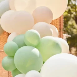 Ballonnenboog Sage Ginger Ray