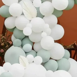Ballonnenboog White & Sage Ginger Ray
