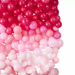 Ballonnenmuur Ombre Roze Star Gazer Ginger Ray