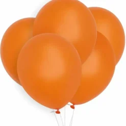 Ballonnen Oranje (10St) Perfect Basics House Of Gia