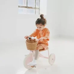 Banwood Trike Driewieler Roze