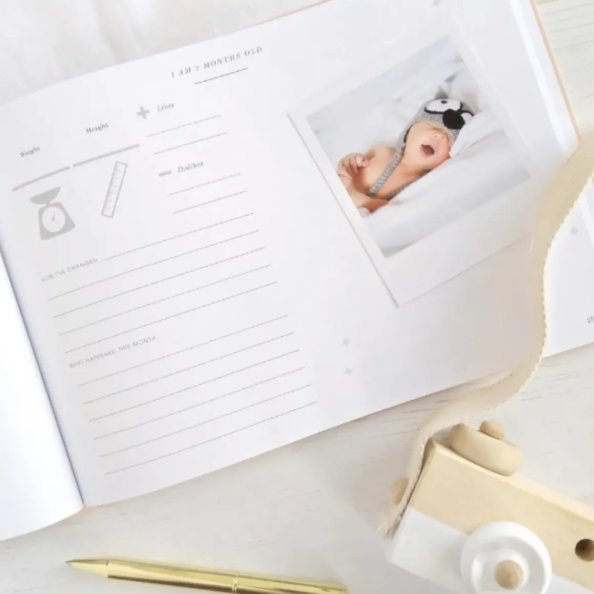 Blush & Gold Invulboek My Baby Journal Wit