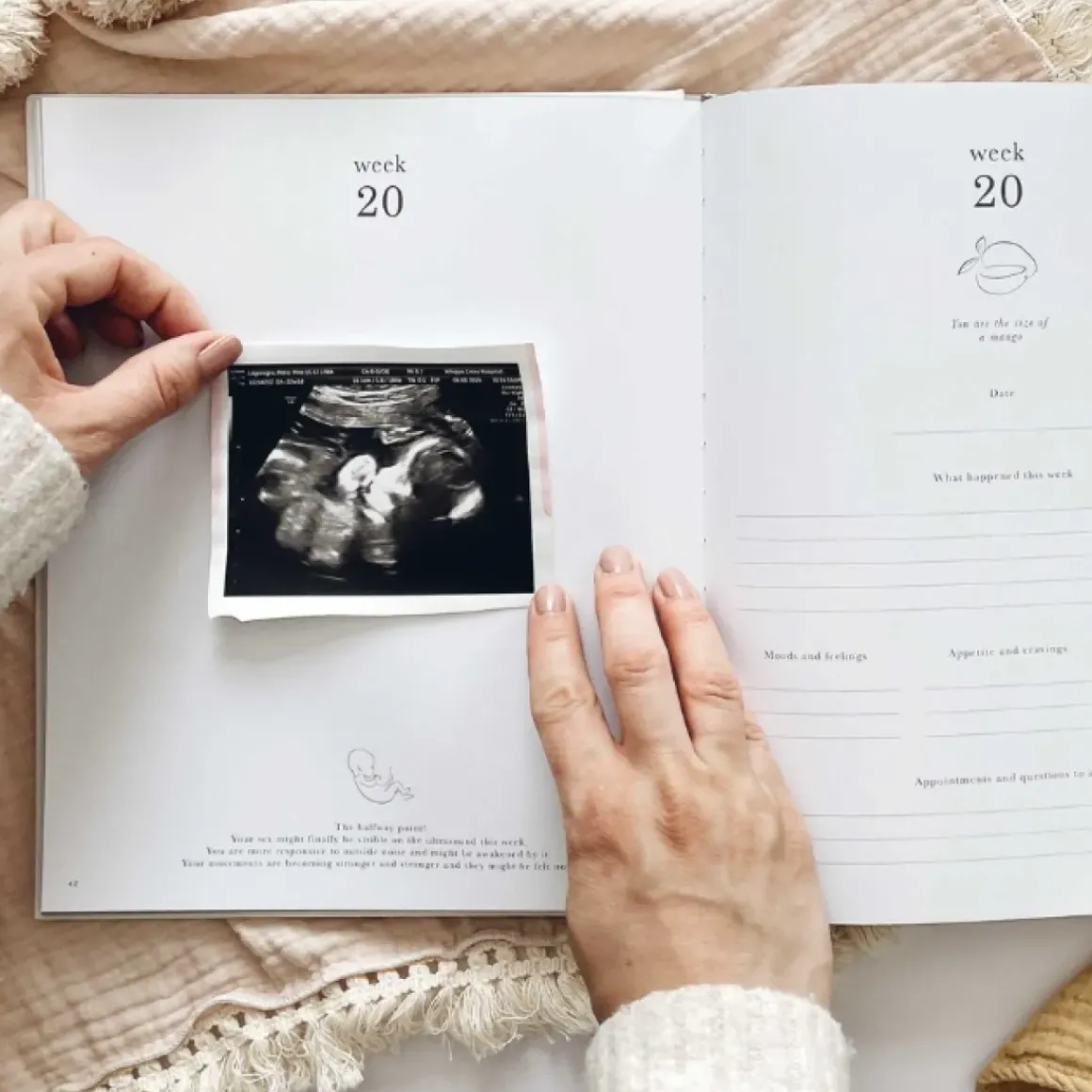 Blush & Gold Zwangerschapsdagboek Dieren