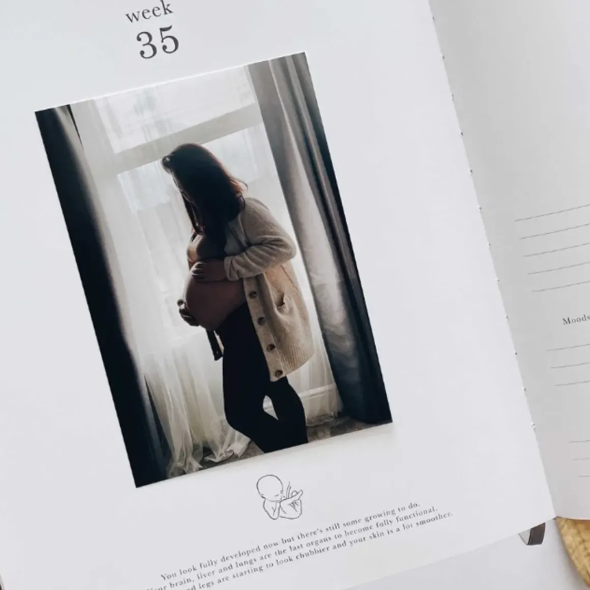 Blush & Gold Zwangerschapsdagboek Dieren