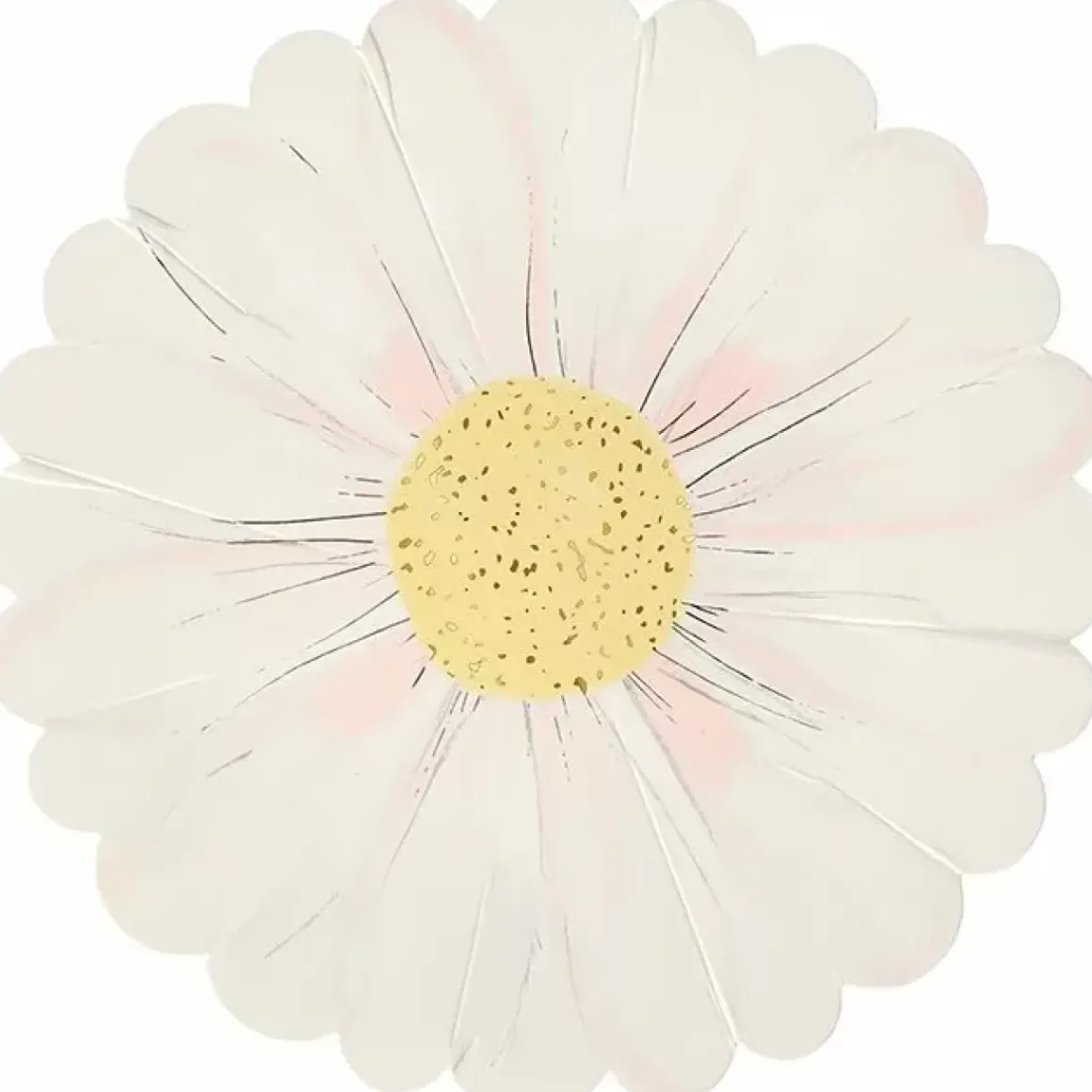 Borden Wild Daisy (8St) Meri Meri