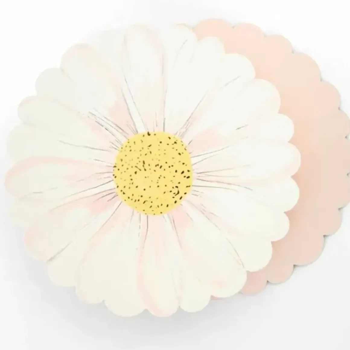 Borden Wild Daisy (8St) Meri Meri