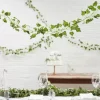 Decoratieve Klimop 2M (5St) Beautiful Botanics Ginger Ray