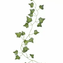 Decoratieve Klimop 2M (5St) Beautiful Botanics Ginger Ray