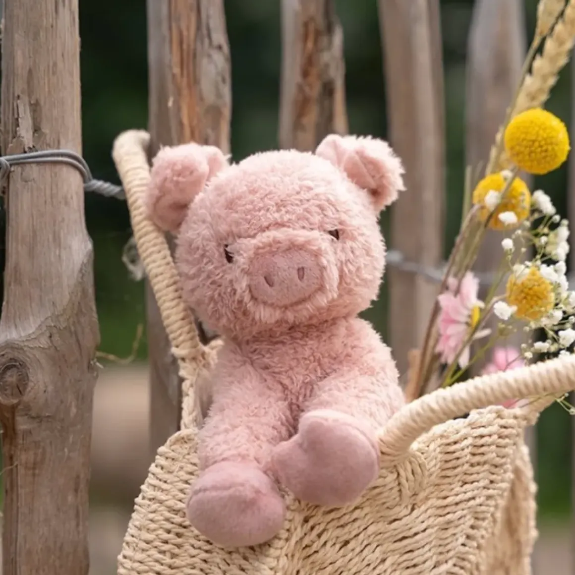 Little Dutch Knuffel Varken 17Cm Little Farm