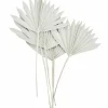 Madam Stoltz Gedroogde Palmbladeren Wit (6St)
