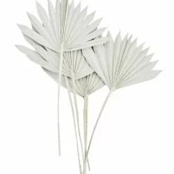 Madam Stoltz Gedroogde Palmbladeren Wit (6St)