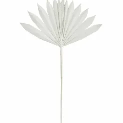 Madam Stoltz Gedroogde Palmbladeren Wit (6St)