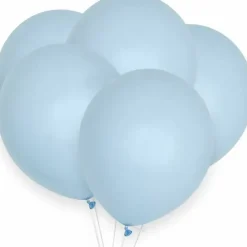 Pastel Ballonnen Blauw (10St)