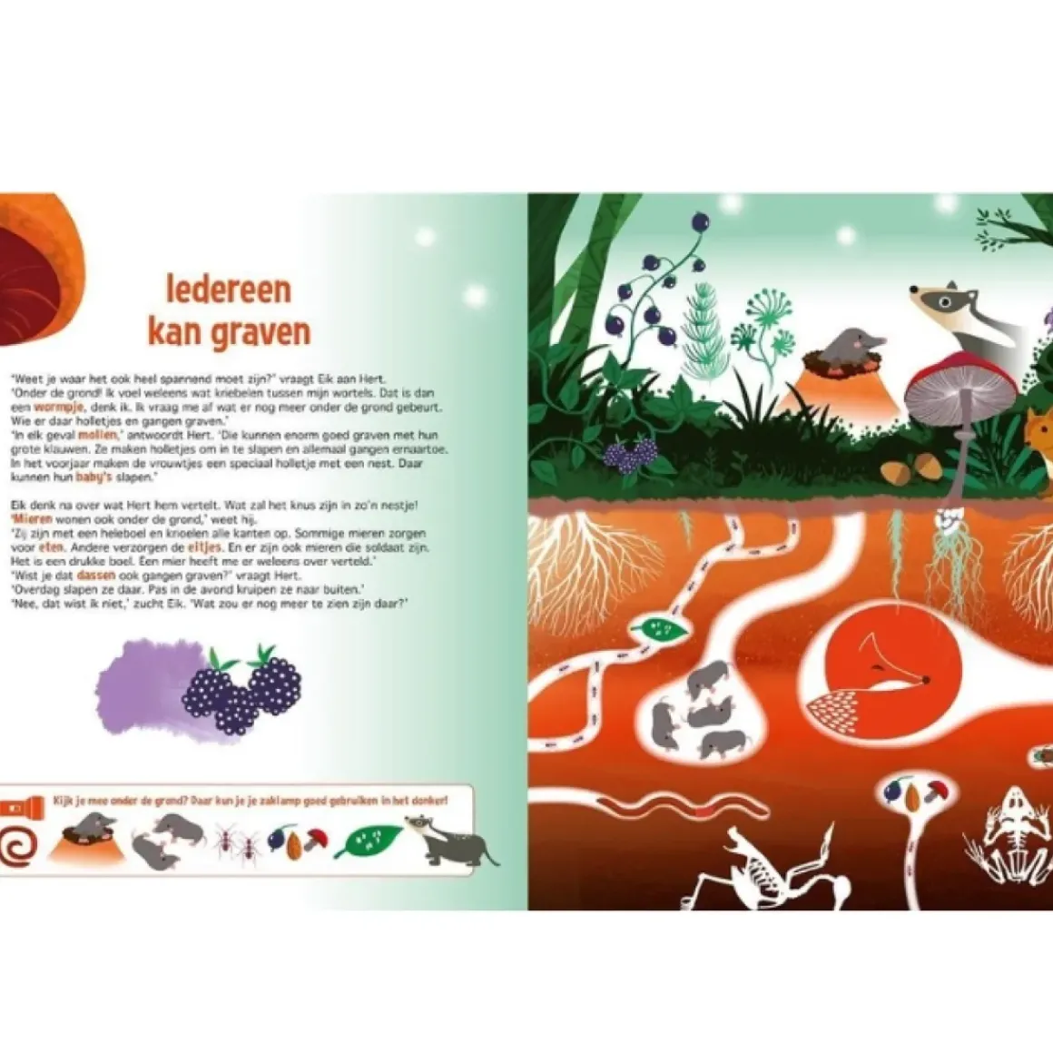 Zoekboek Speuren In Het Bos